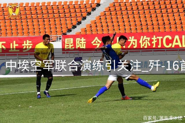 中埃空军联合演练引关注 歼-16首次对阵法制阵风战机