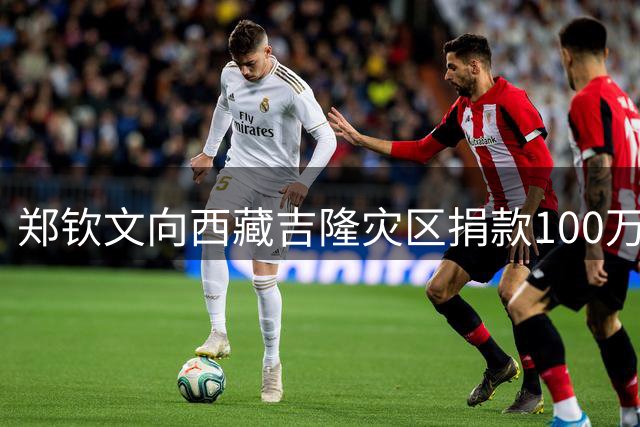 郑钦文向西藏吉隆灾区捐款100万：祝愿灾区同胞早日渡过难关